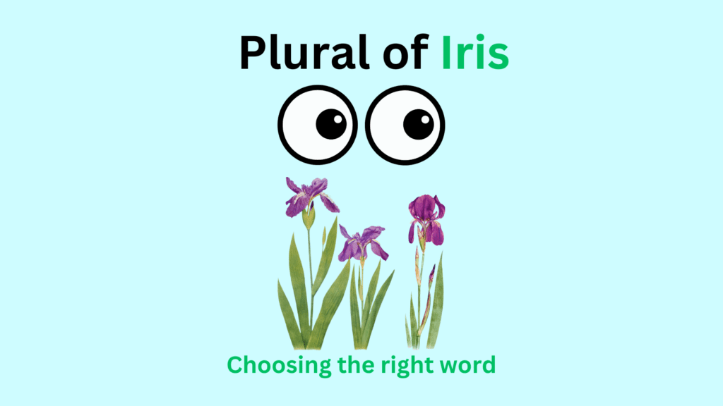 Plural of Iris