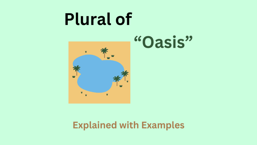 Plural of Oasis