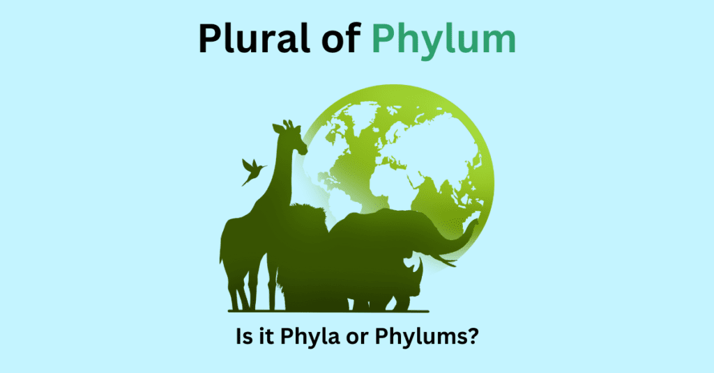 What's the Plural of Phylum? Is it Phyla or Phylums?
